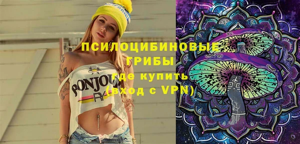 PSILOCYBIN Алексеевка