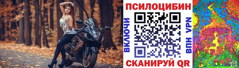 Галлюциногенные грибы Psilocybe  MEGA маркетплейс  Берёзовка 